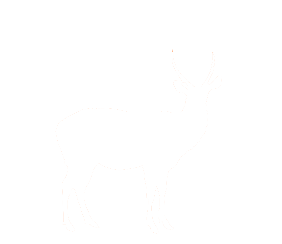 gazzella