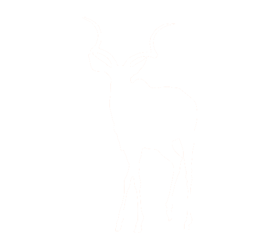 kudu